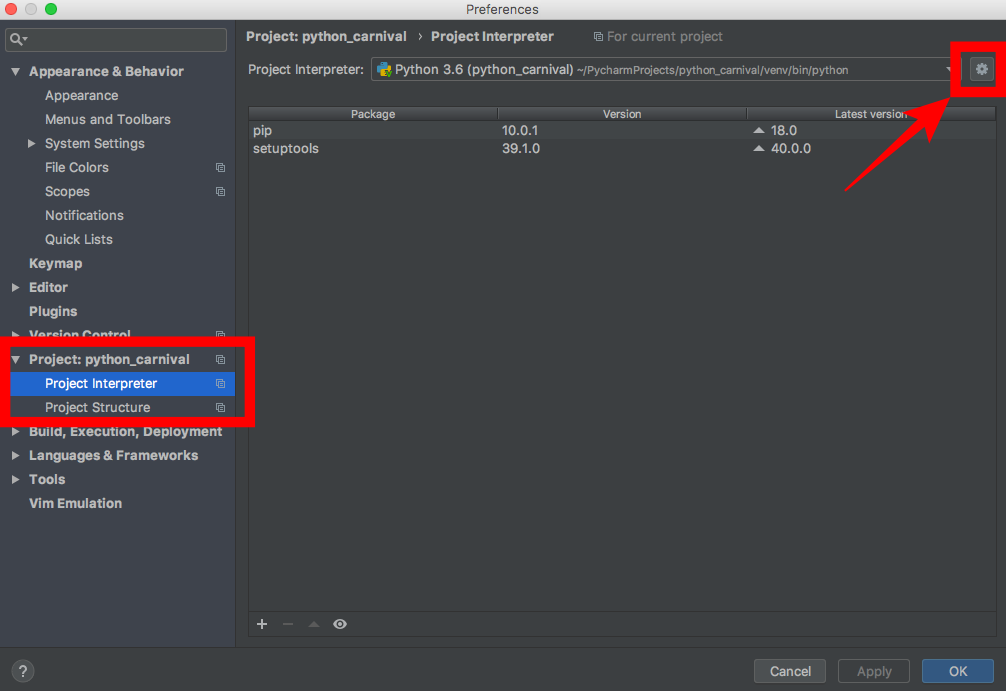 Pycharm interpreter - nimfalessons